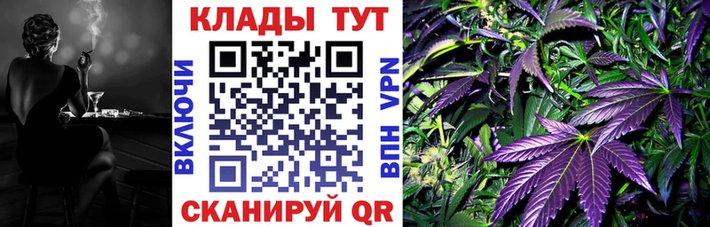 Купить закладку Гашиш  Галлюциногенные грибы  Меф мяу мяу  Экстази  Cocaine  Нефтекумск