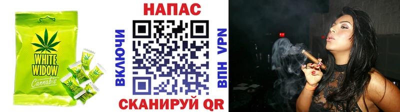 Cannafood конопля  Купить где  Нефтекумск 