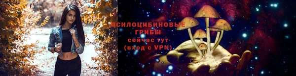 тгк Лиски