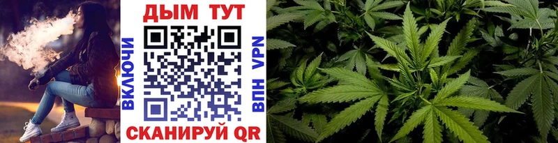 Шишки марихуана марихуана  Купить закладки  Нефтекумск 